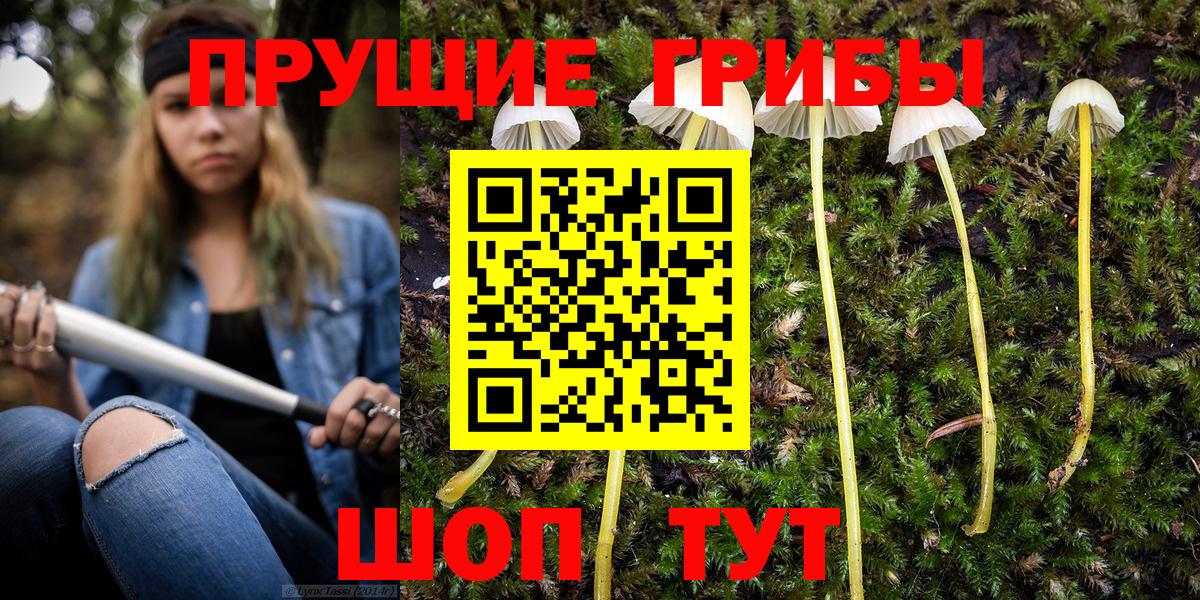 Галлюциногенные грибы мицелий  Вход с VPN  Долгопрудный 